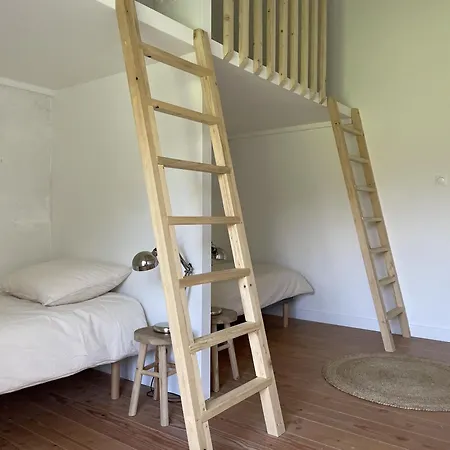 Tatil Evi Des Luddites Chatte